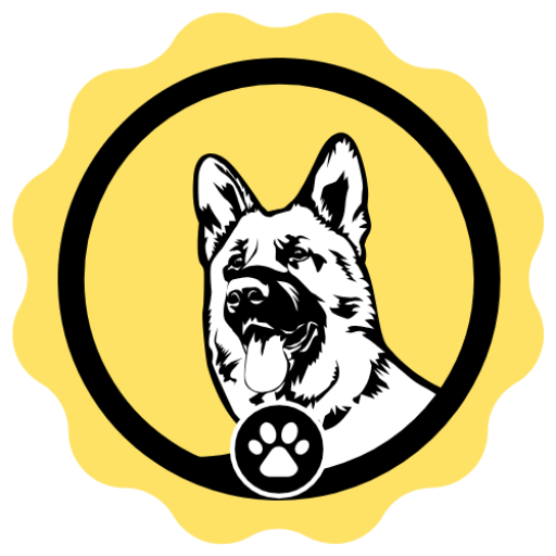 Dresseur de chien à Rabat – Éducateur canin comportementaliste